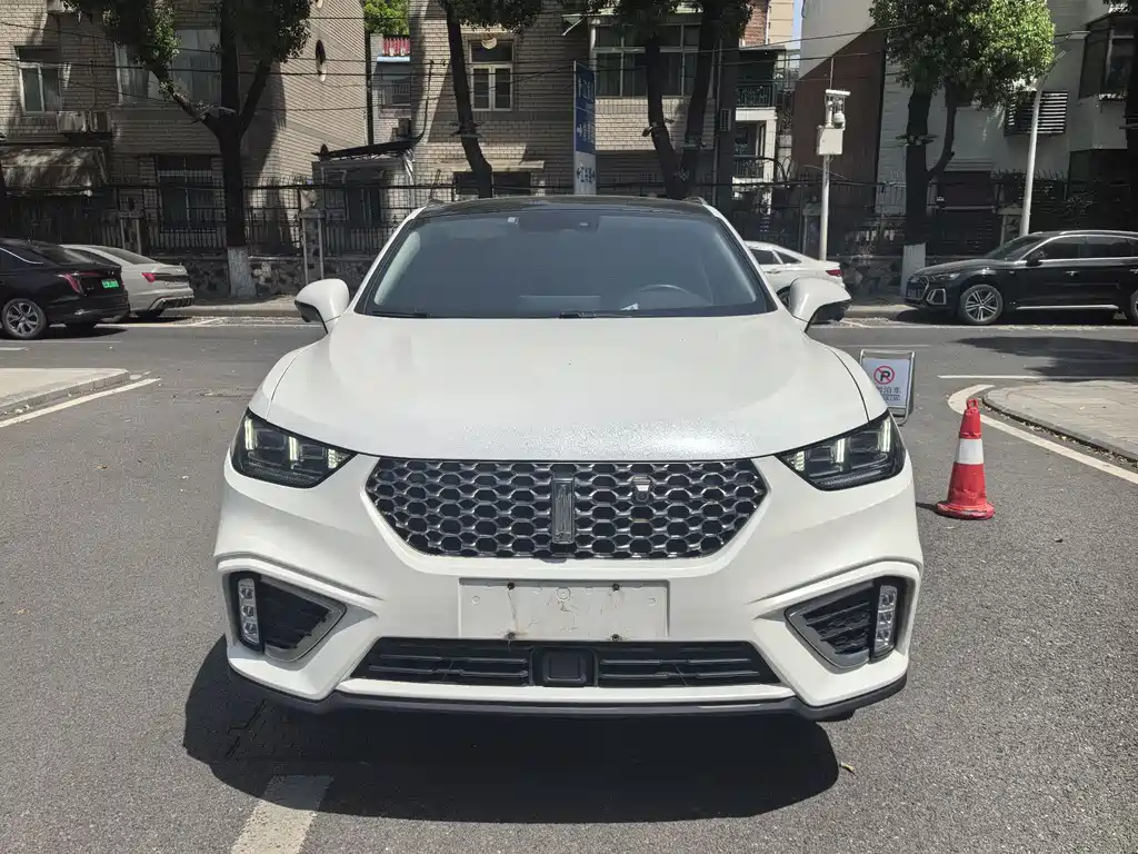 WEI PAI WEI BRAND VV5