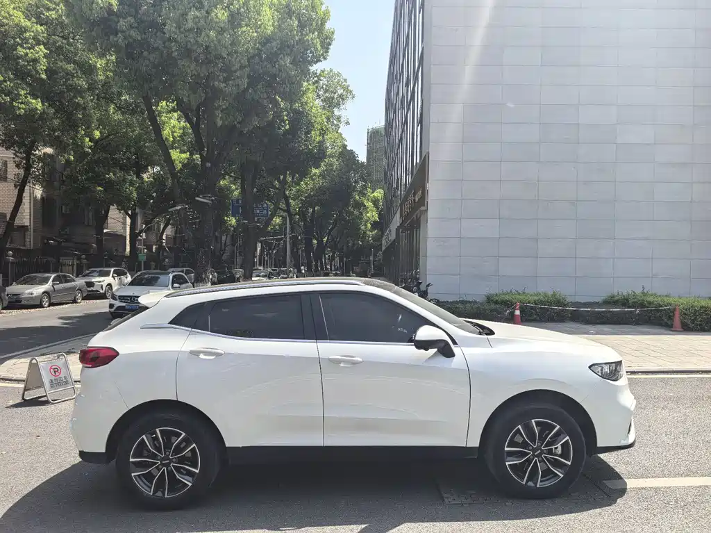 WEI PAI WEI BRAND VV5