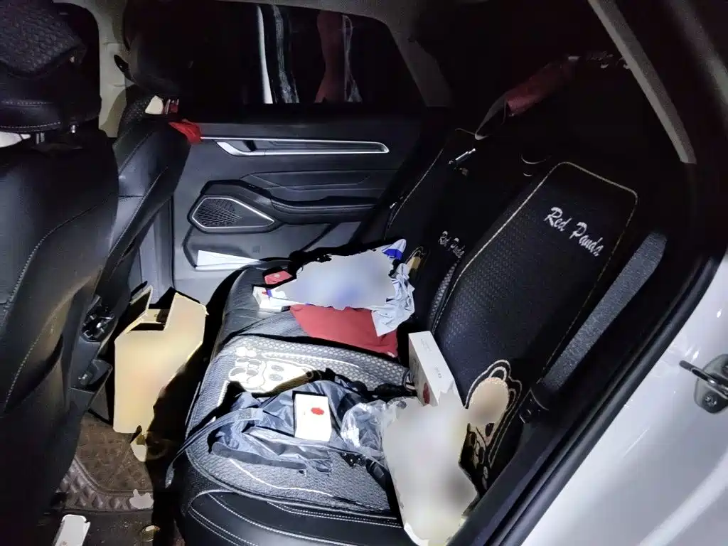 Geely Emgrand — миниатюра 13