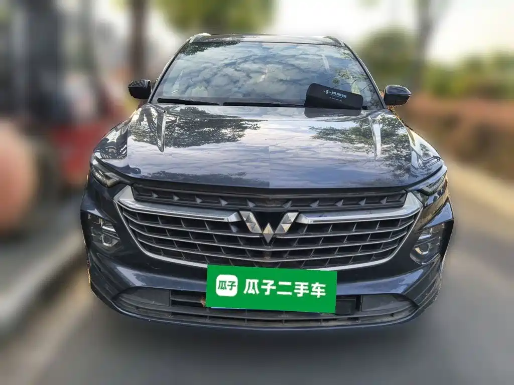 Wuling Victory — миниатюра 3