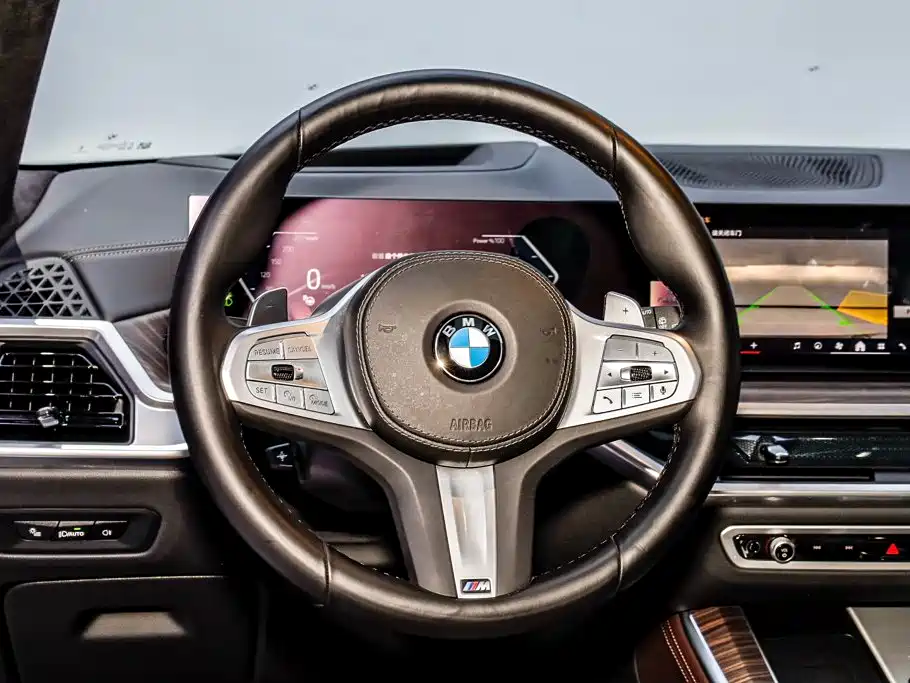 BMW X5 — миниатюра 24