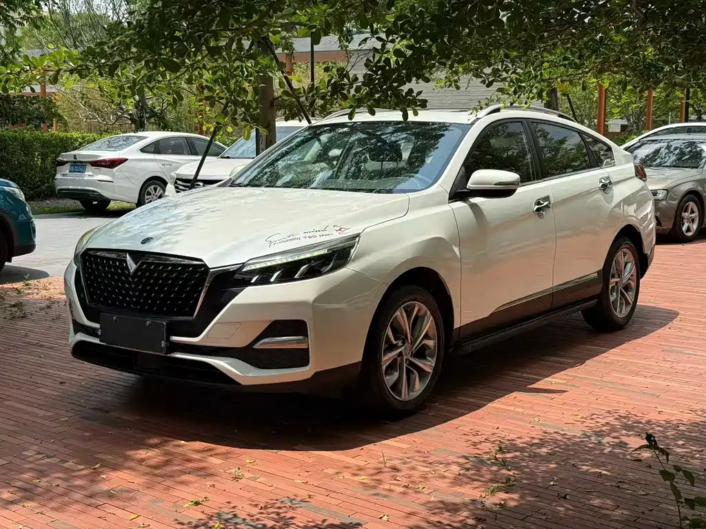 Купить Venucia T90