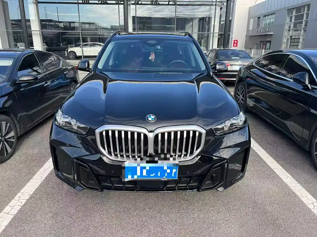 BMW X5 — миниатюра 7
