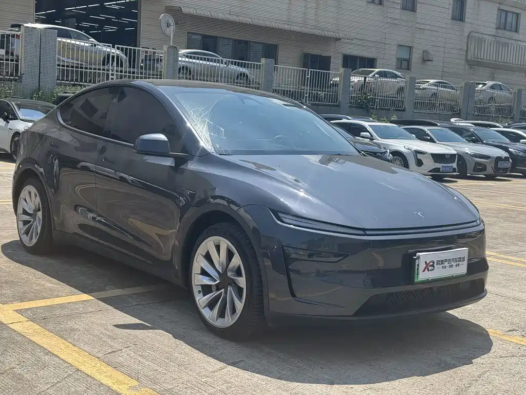 Tesla Model Y — миниатюра 2