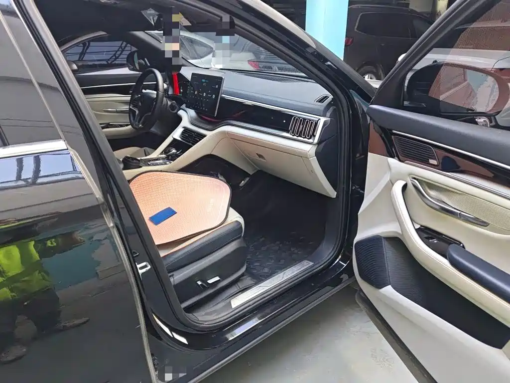 BYD PLUS New Energy — миниатюра 19