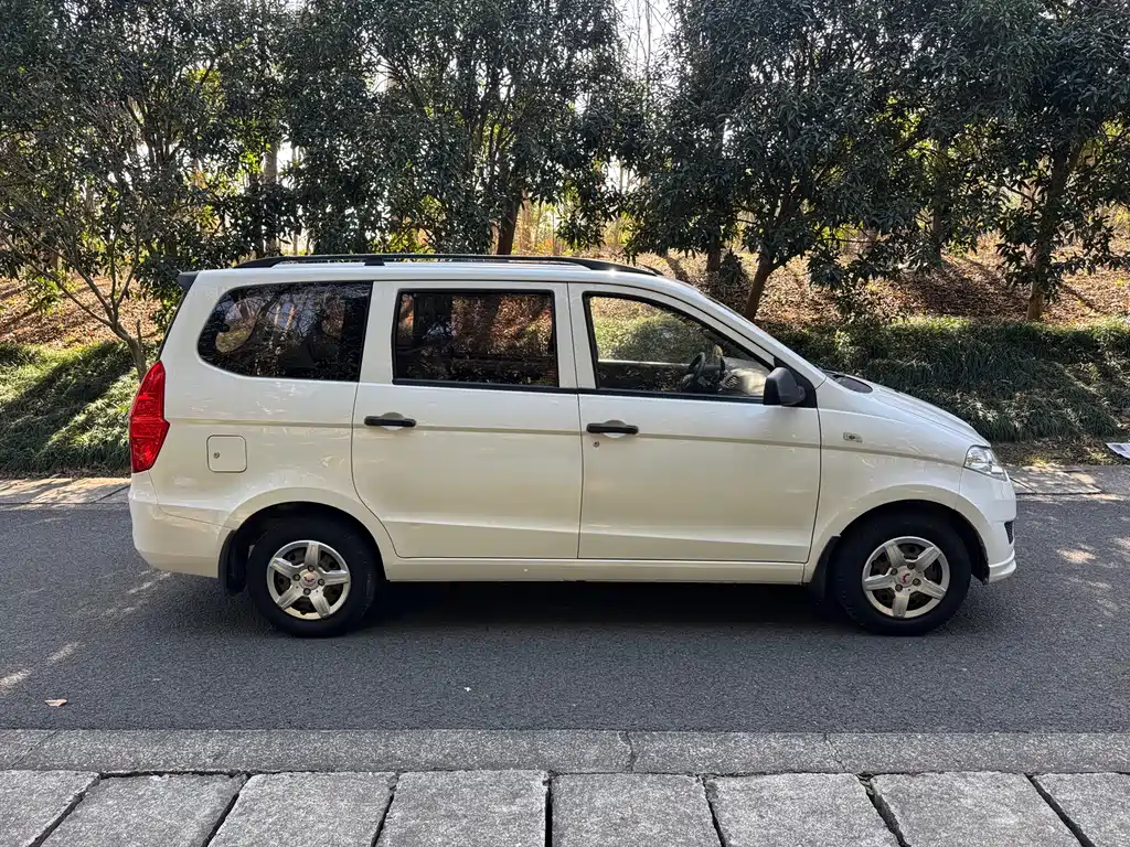 WULING WULING HONGGUANG