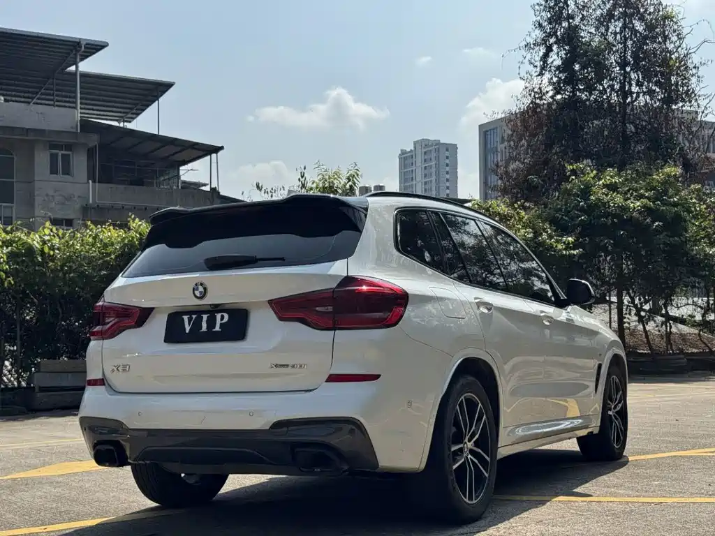 BMW X3 — миниатюра 8