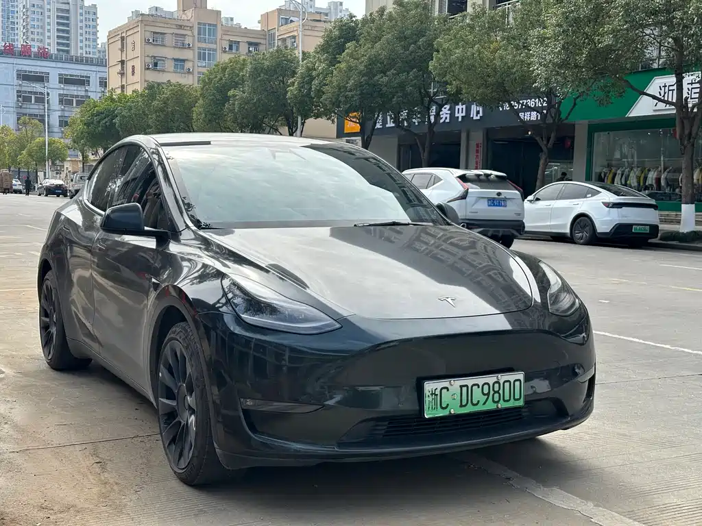 TESLA MODEL Y