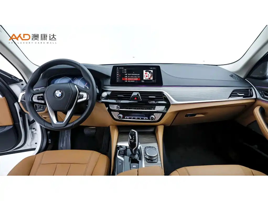 BMW 5 Series — миниатюра 5