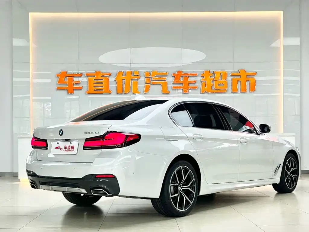 BMW 5 Series — миниатюра 5
