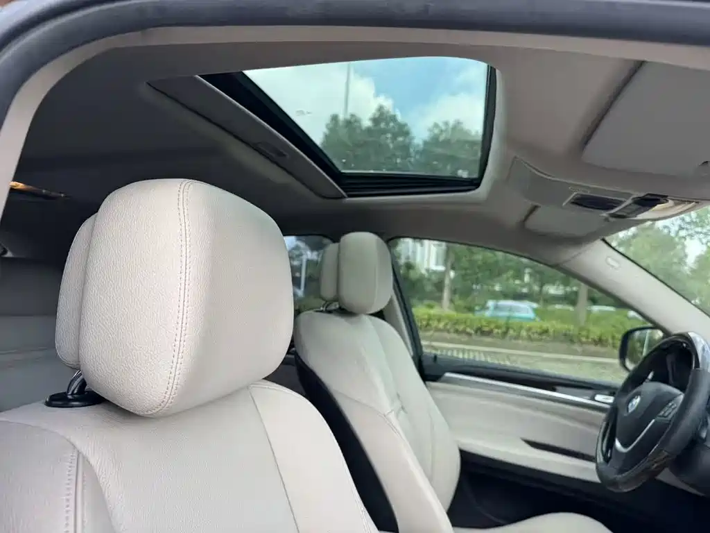 BMW X6 — миниатюра 19