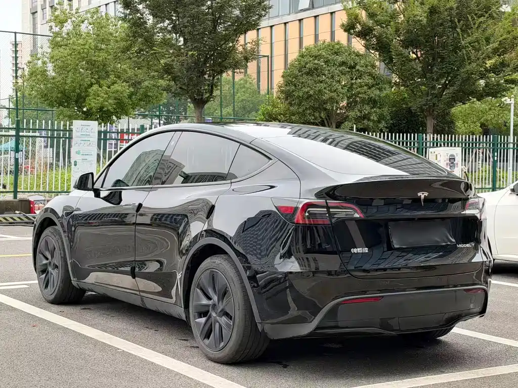 Tesla Model Y — миниатюра 4