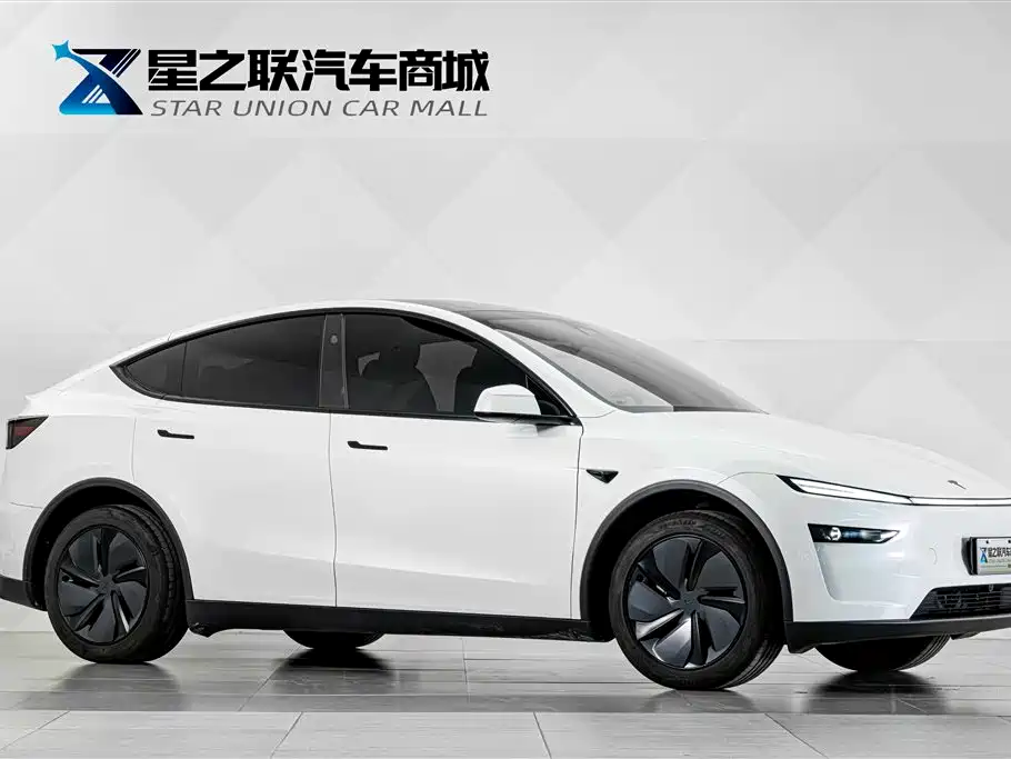 Tesla Model Y — миниатюра 6