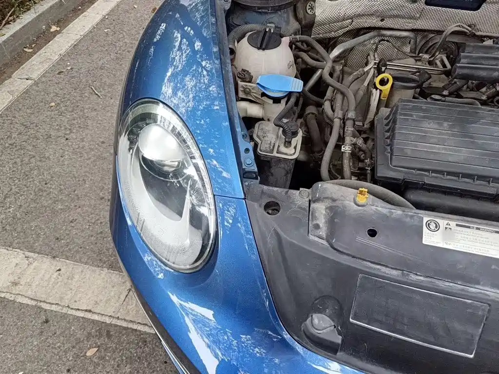 Volkswagen Beetle — миниатюра 19