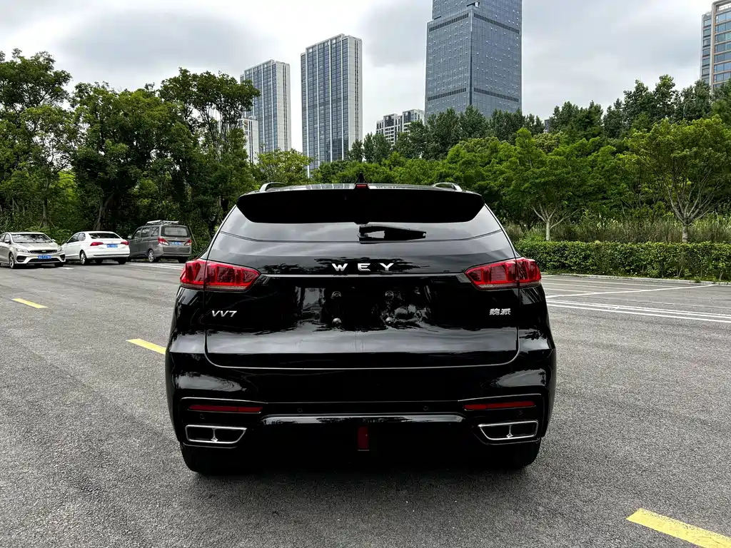 Wey Wey VV7 — миниатюра 15