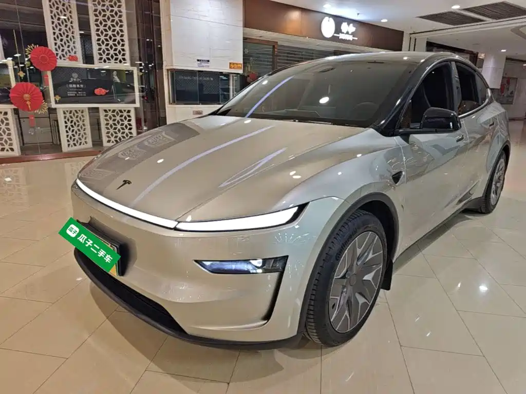 Tesla Model Y L — миниатюра 2