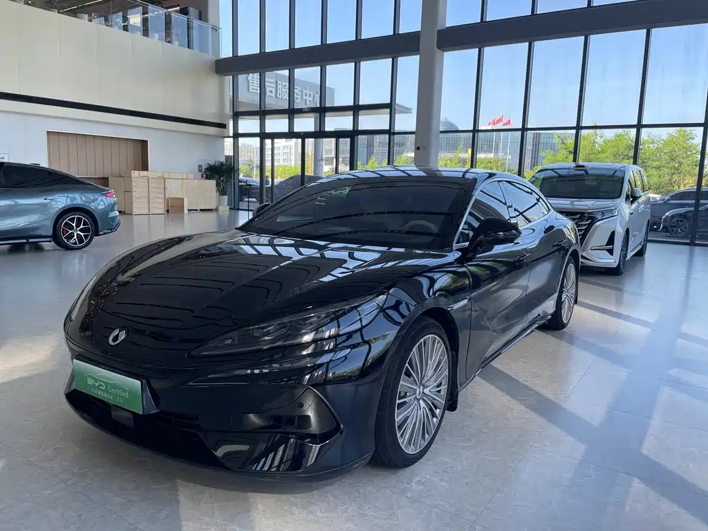 Denza Denza Z9 — миниатюра 2