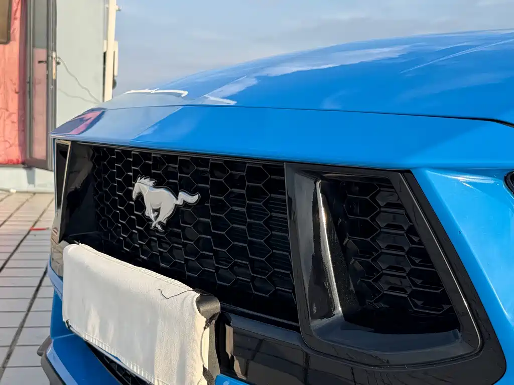 Ford Mustang — миниатюра 14