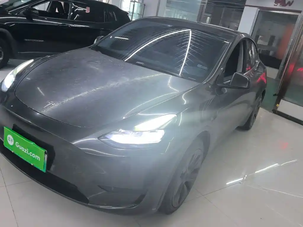Tesla Model Y — миниатюра 2