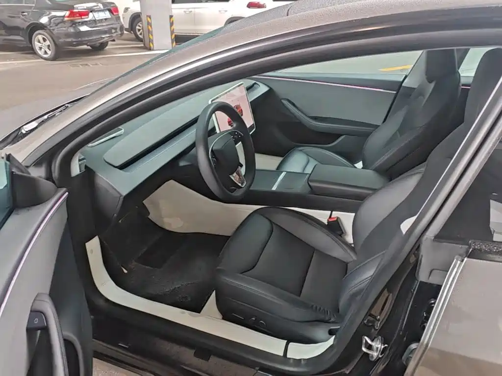 Tesla Model 3 — миниатюра 15