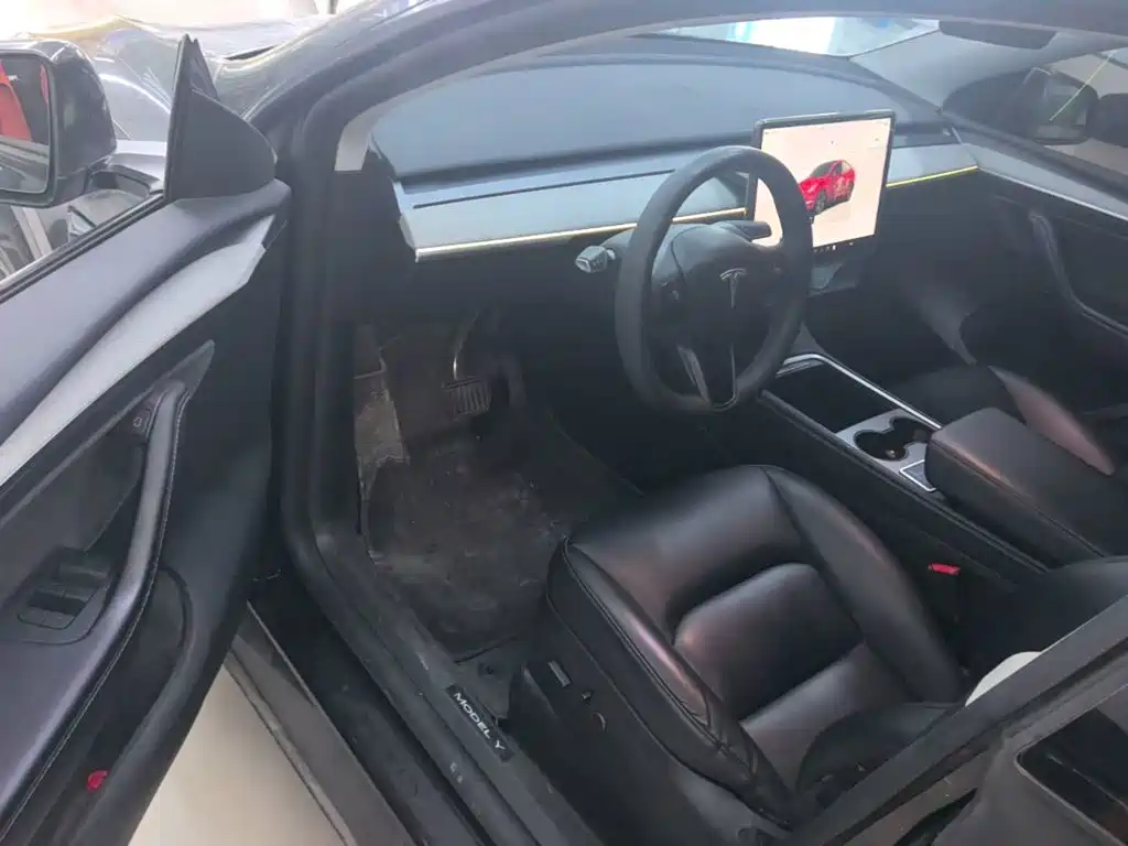 Tesla Model Y — миниатюра 16