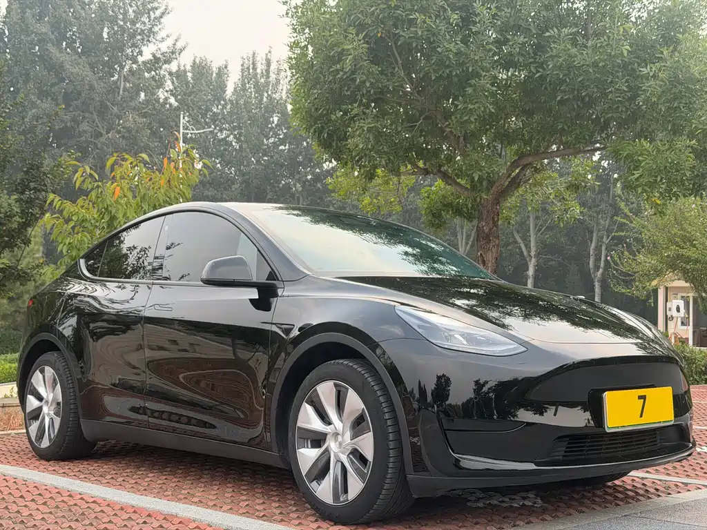 Tesla Model Y — миниатюра 8