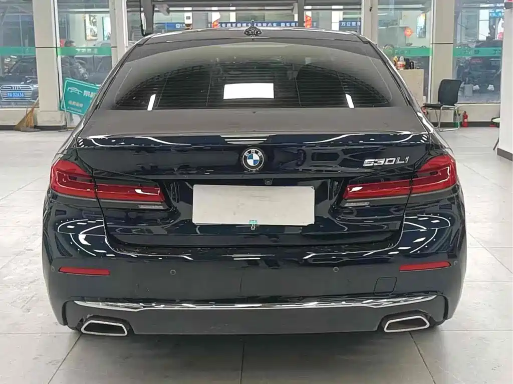 BMW 5 Series — миниатюра 8