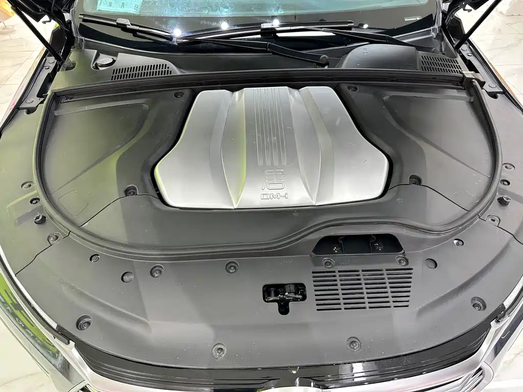 BYD Tang New Energy — миниатюра 16