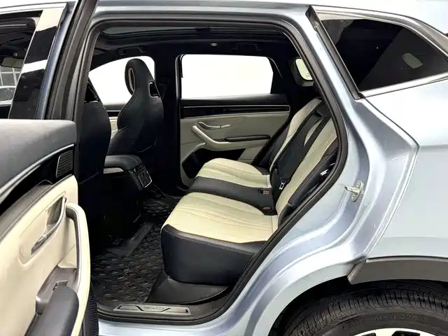 BYD PLUS New Energy — миниатюра 6