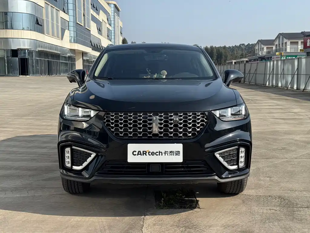 WEI PAI WEI BRAND VV5