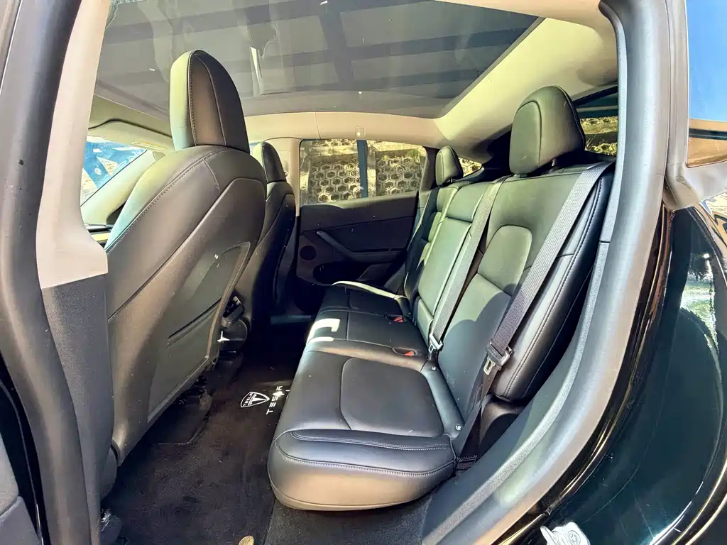 Tesla Model Y — миниатюра 10
