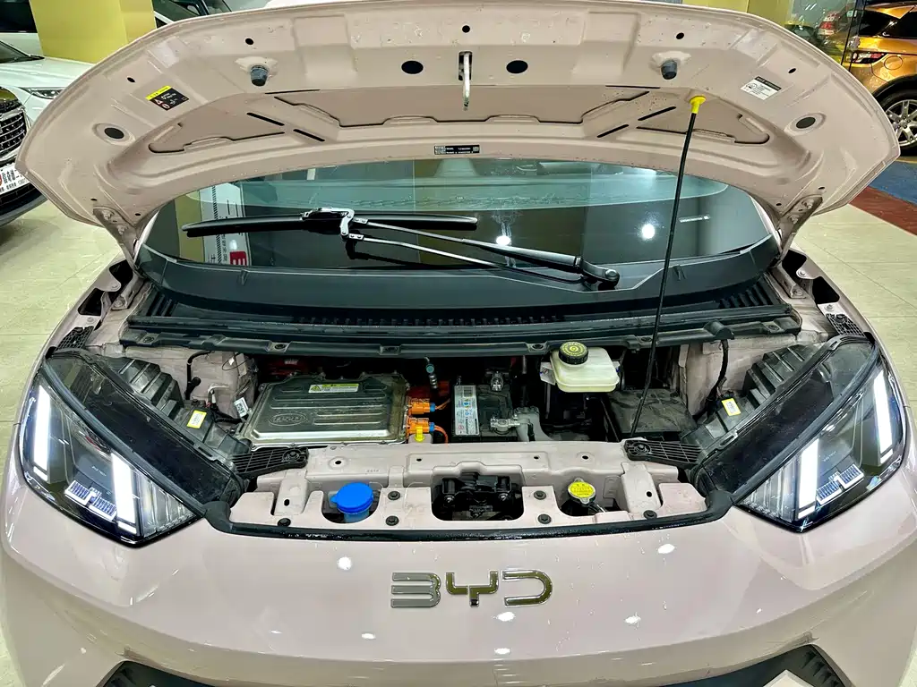 BYD Seagull — миниатюра 22