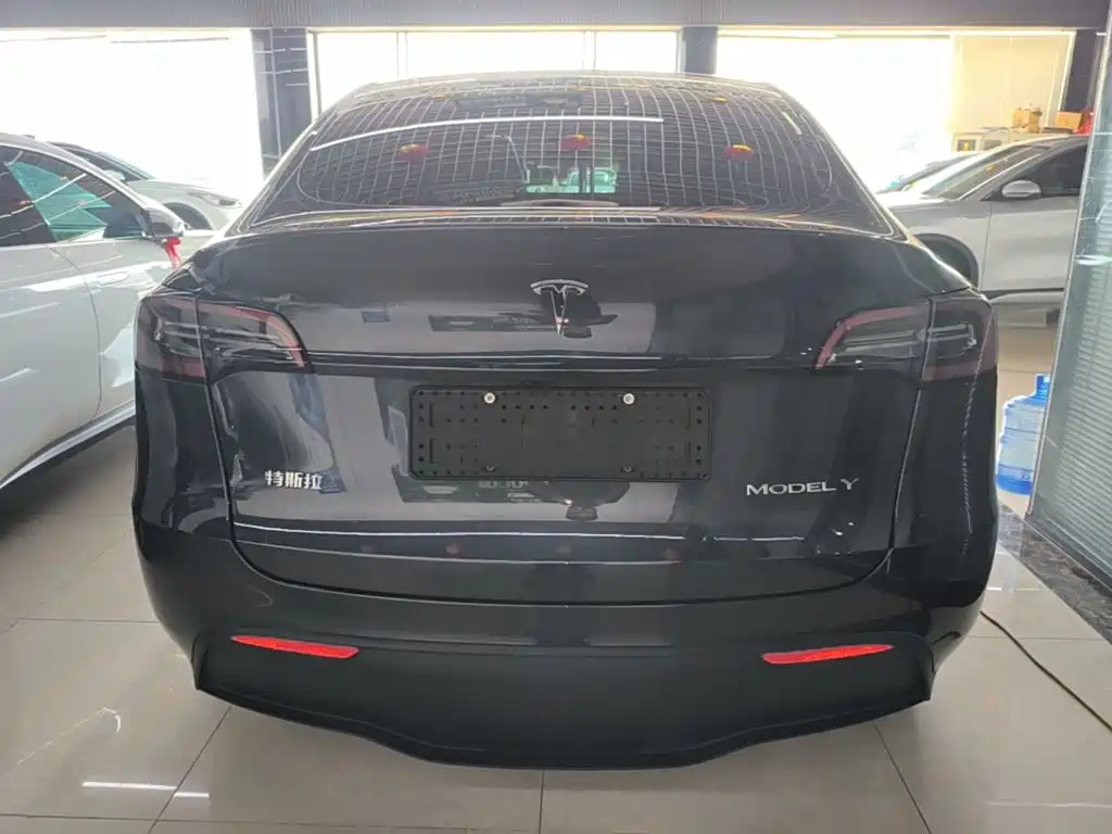 Tesla Model Y — миниатюра 6