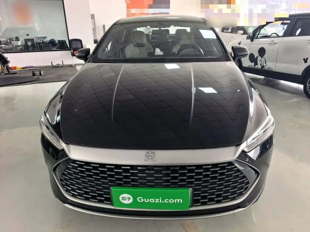 BYD Qin PLUS — миниатюра 3