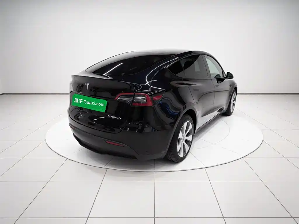 Tesla Model Y — миниатюра 4