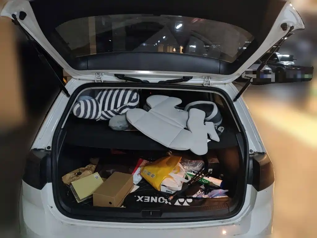 Volkswagen Golf — миниатюра 20
