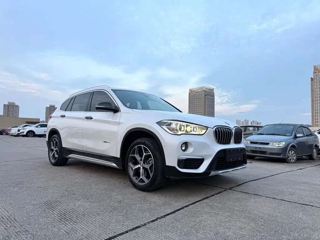 BMW X1 — миниатюра 3