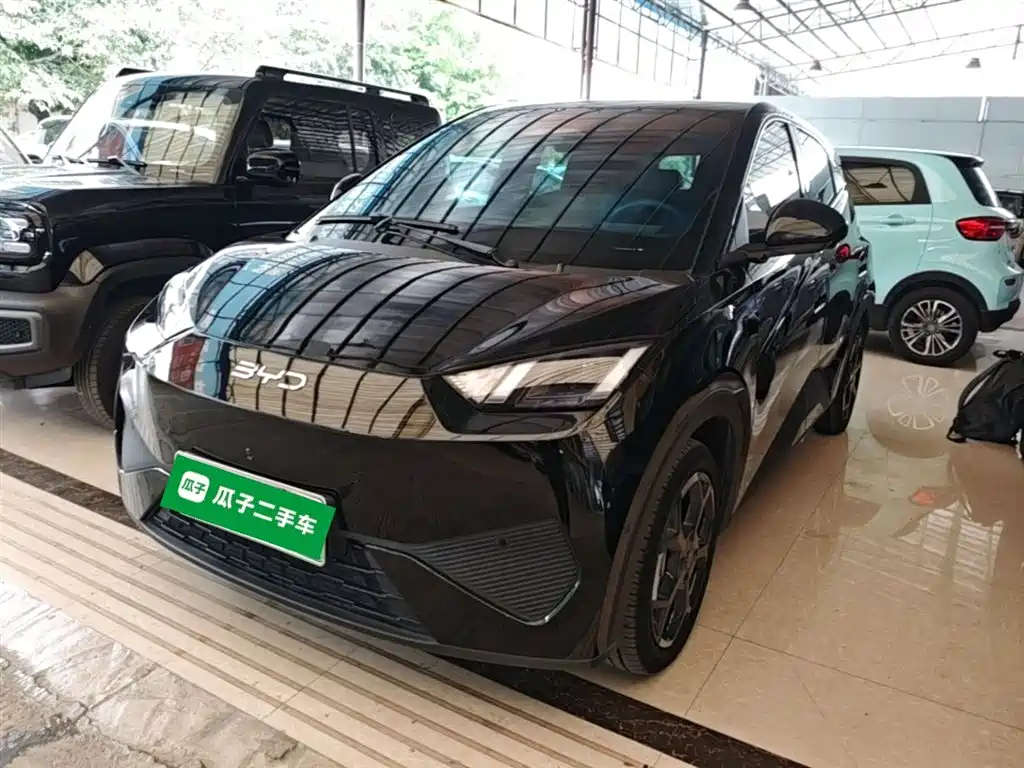 Byd Seagull 2025