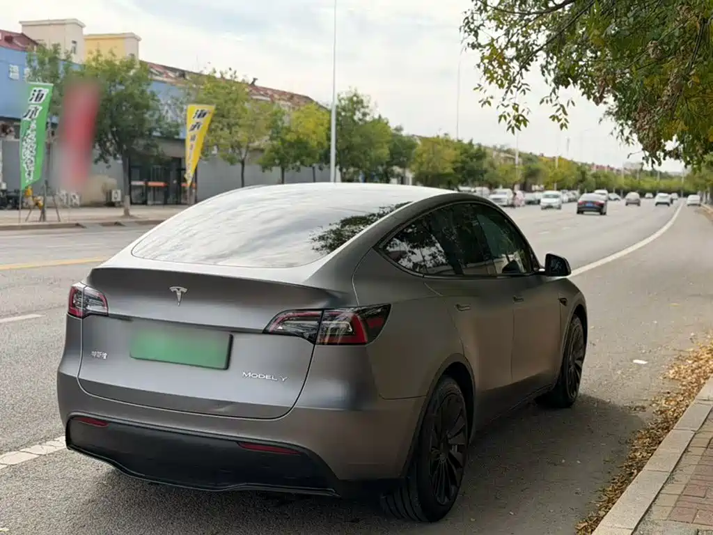 Tesla Model Y — миниатюра 5