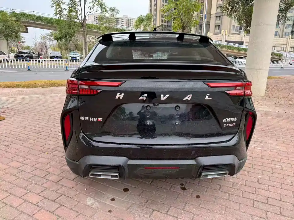 HAVAL H6S