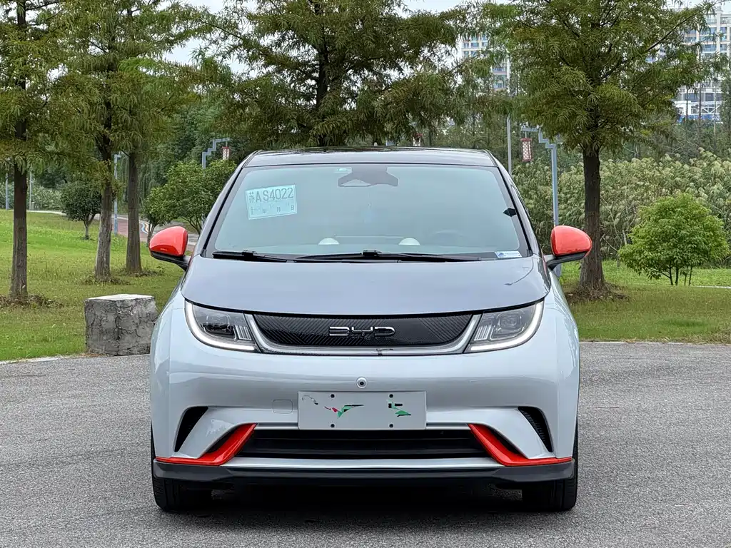 BYD Dolphin — миниатюра 2