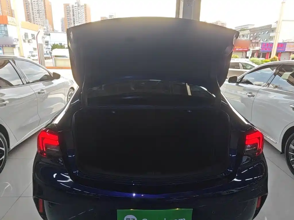 Buick Regal — миниатюра 19