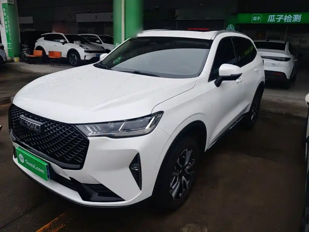 Haval H6 — миниатюра 2