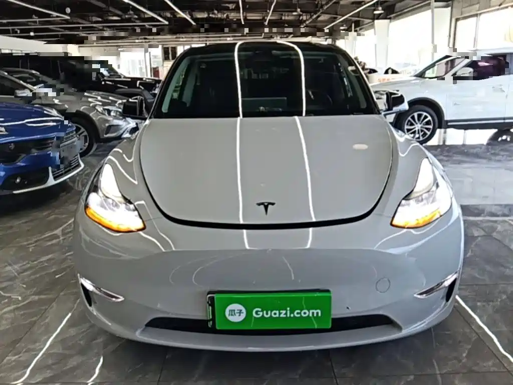 Tesla Model Y — миниатюра 3