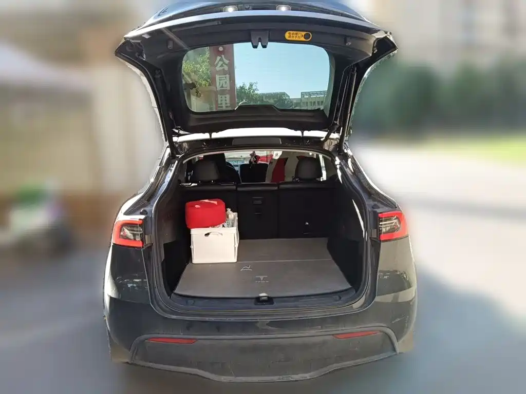 Tesla Model Y — миниатюра 15
