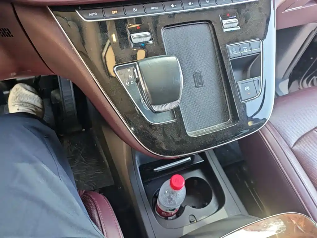 Hongqi Hongqi HQ9 — миниатюра 14