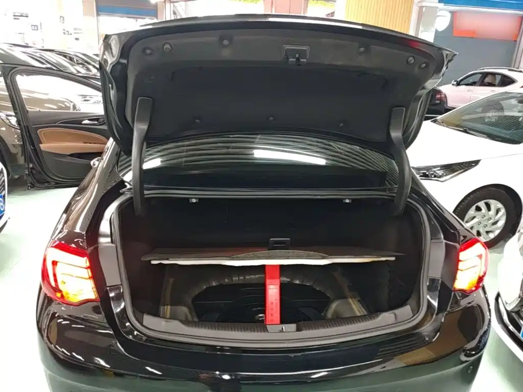 Buick Regal — миниатюра 19