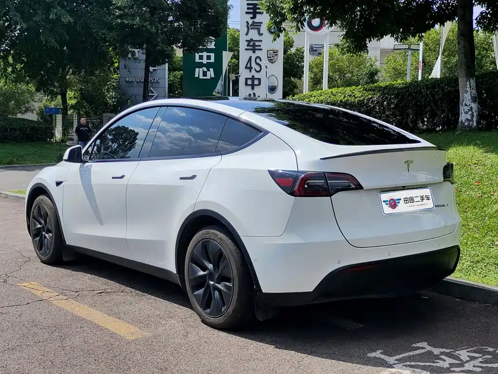 Tesla Model Y — миниатюра 4
