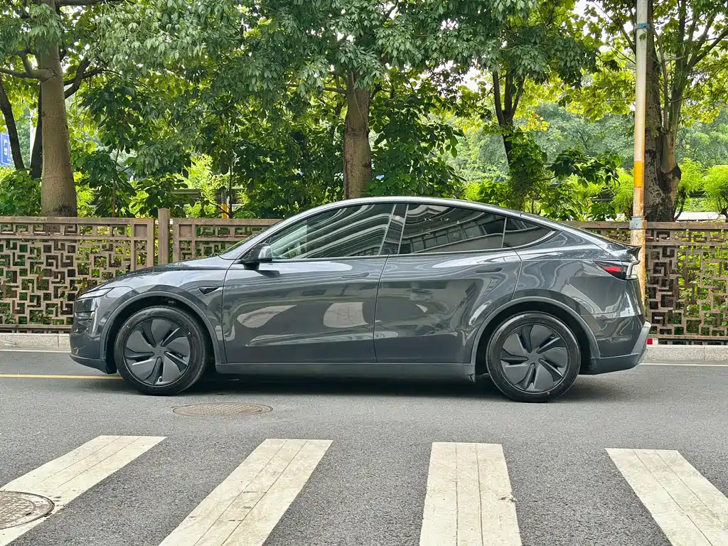 Tesla Model Y — миниатюра 3