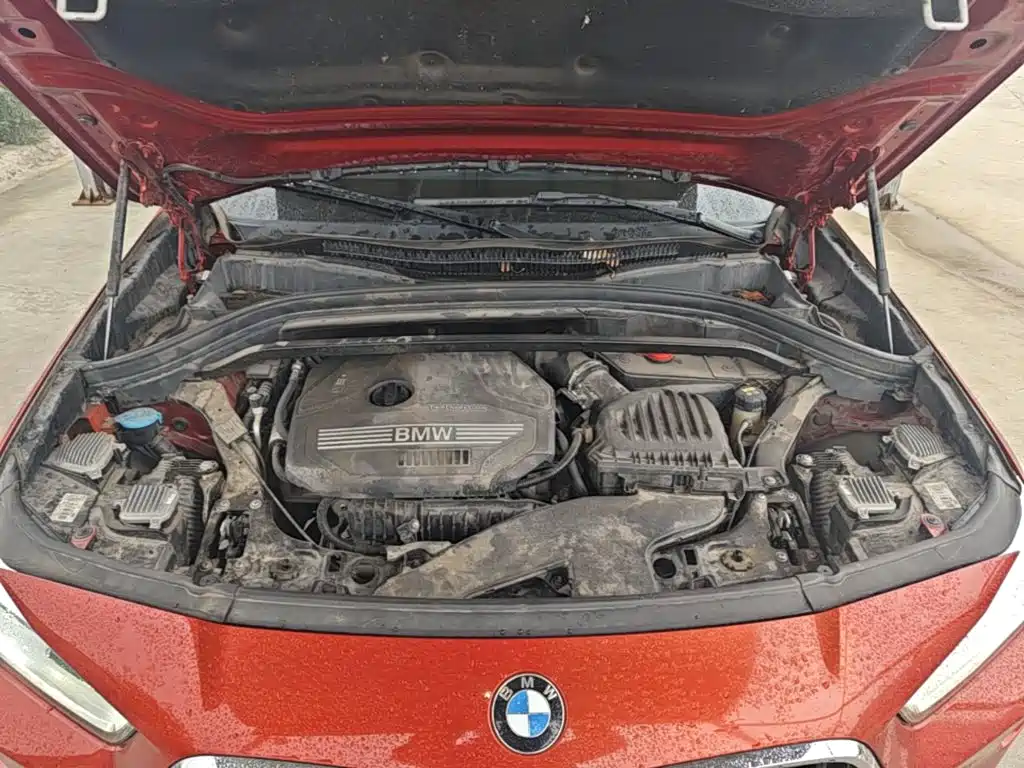 BMW X2 (Import) — миниатюра 20